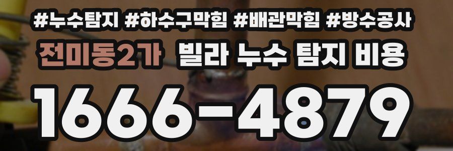 전미동2가 빌라 누수 탐지 비용