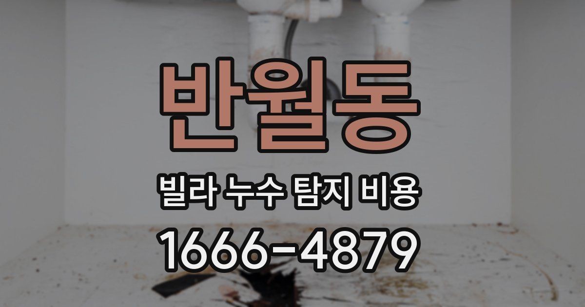 반월동 빌라 누수 탐지 비용