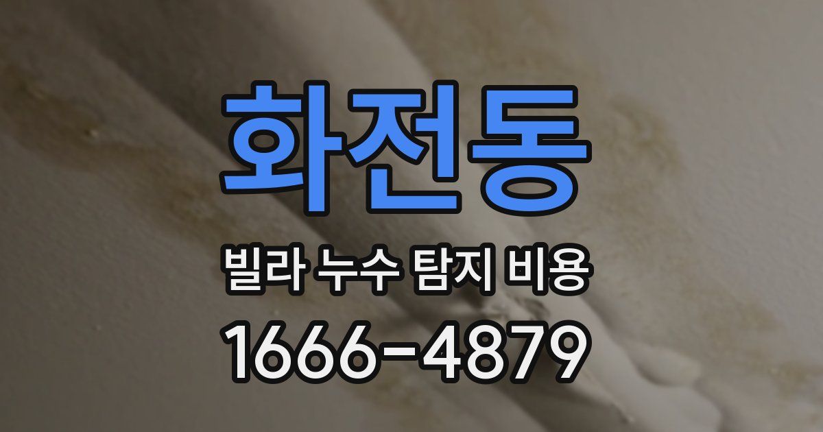 화전동 빌라 누수 탐지 비용