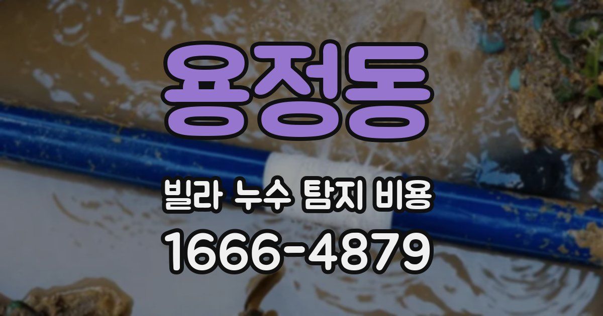 용정동 빌라 누수 탐지 비용