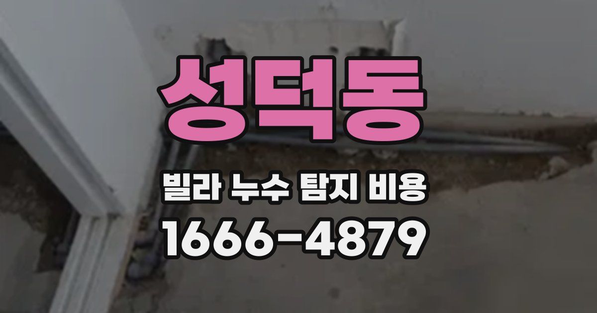 성덕동 빌라 누수 탐지 비용