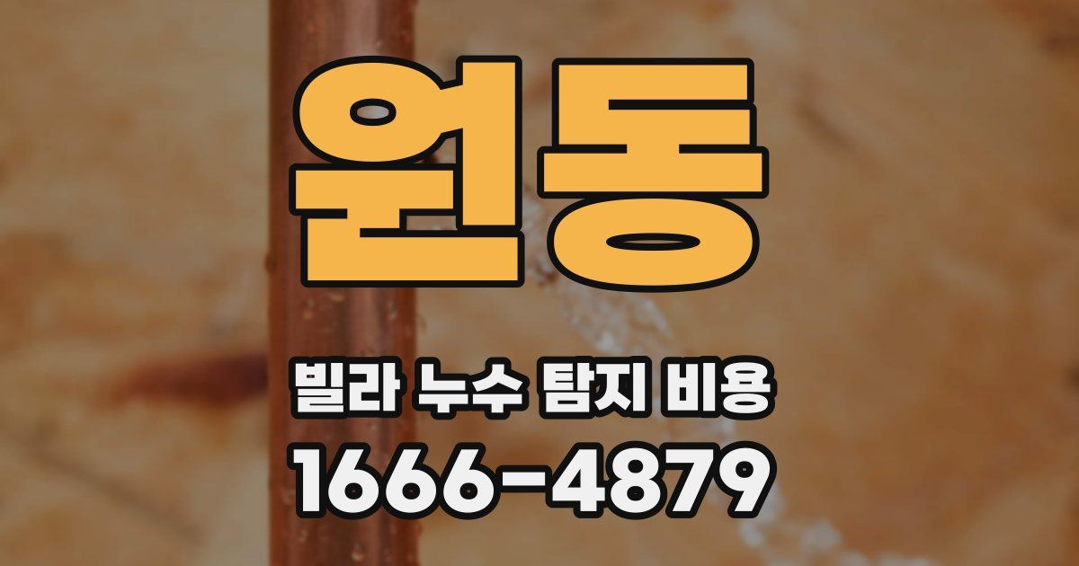 원동 빌라 누수 탐지 비용