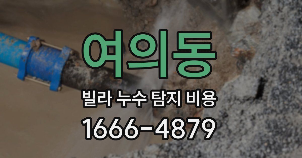 여의동 빌라 누수 탐지 비용