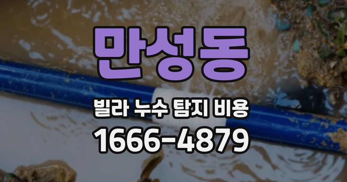 만성동 빌라 누수 탐지 비용