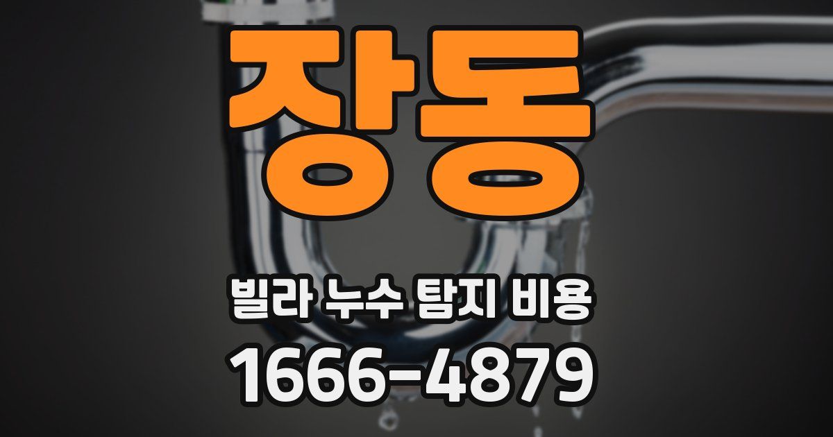 장동 빌라 누수 탐지 비용