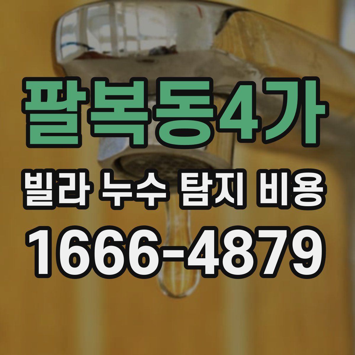 팔복동4가 빌라 누수 탐지 비용
