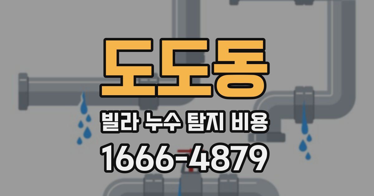 도도동 빌라 누수 탐지 비용