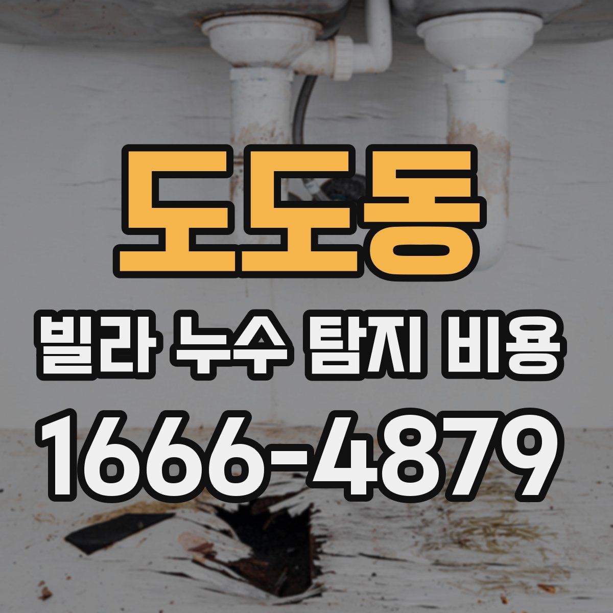 도도동 빌라 누수 탐지 비용