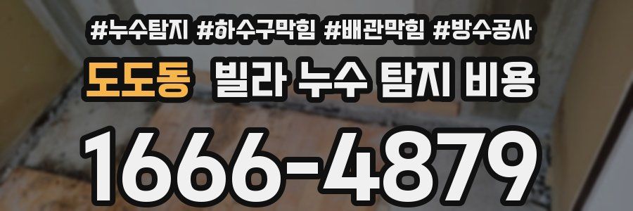도도동 빌라 누수 탐지 비용