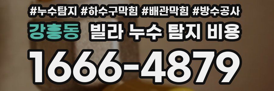 강흥동 빌라 누수 탐지 비용