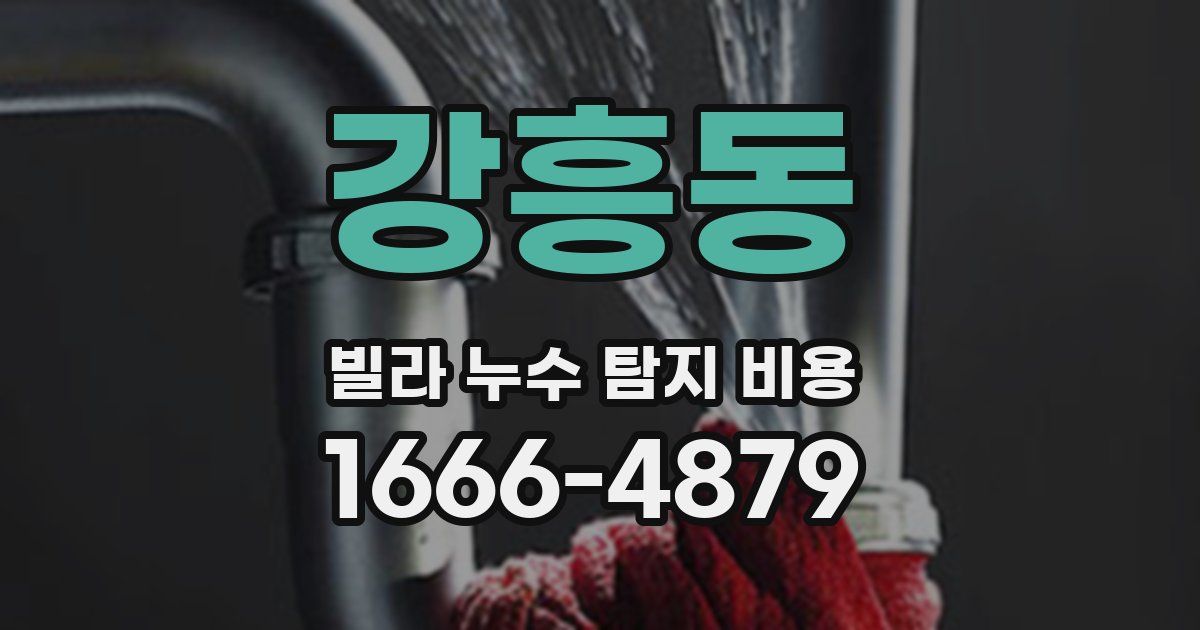 강흥동 빌라 누수 탐지 비용
