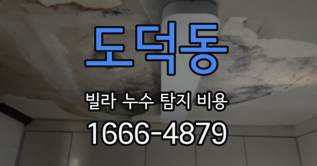 도덕동 빌라 누수 탐지 비용