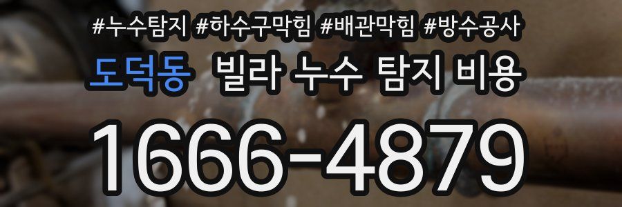 도덕동 빌라 누수 탐지 비용