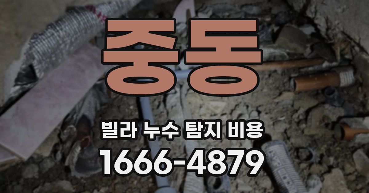 중동 빌라 누수 탐지 비용