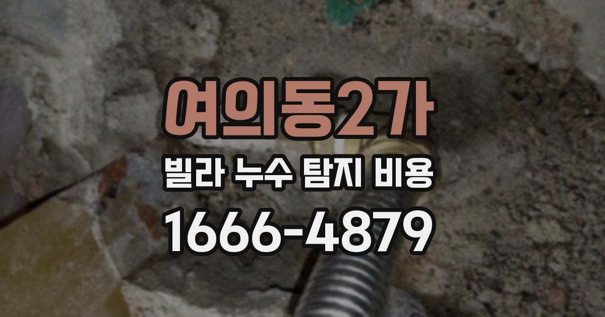 여의동2가 빌라 누수 탐지 비용