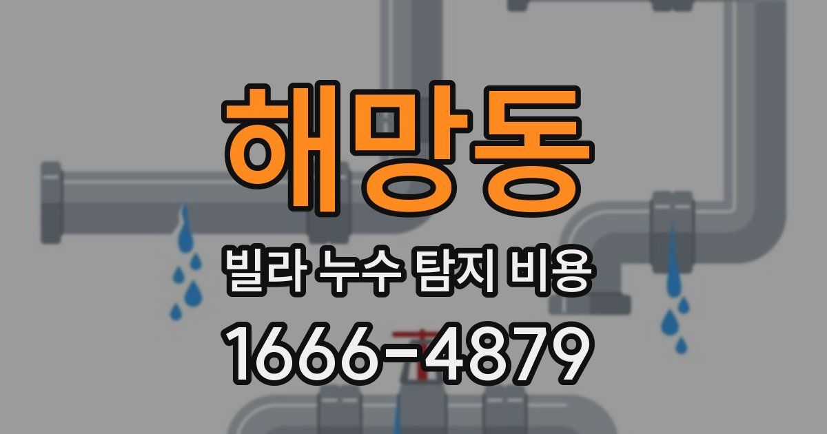 해망동 빌라 누수 탐지 비용