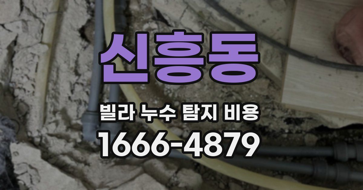 신흥동 빌라 누수 탐지 비용