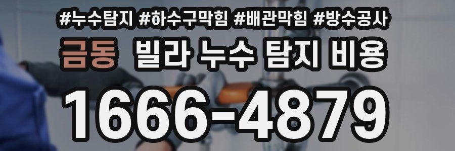금동 빌라 누수 탐지 비용