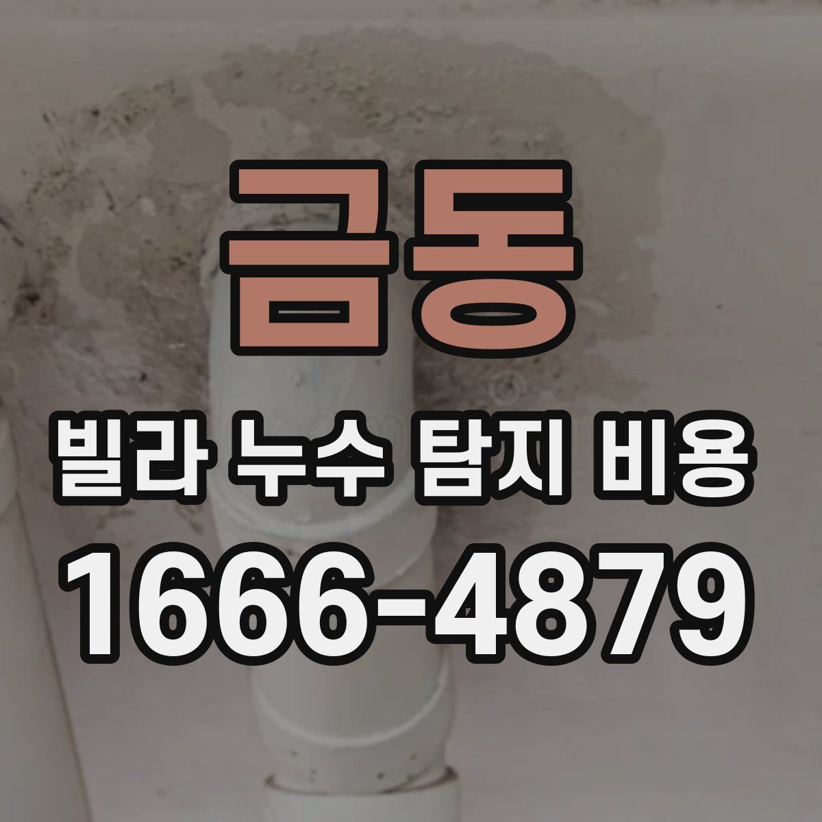 금동 빌라 누수 탐지 비용