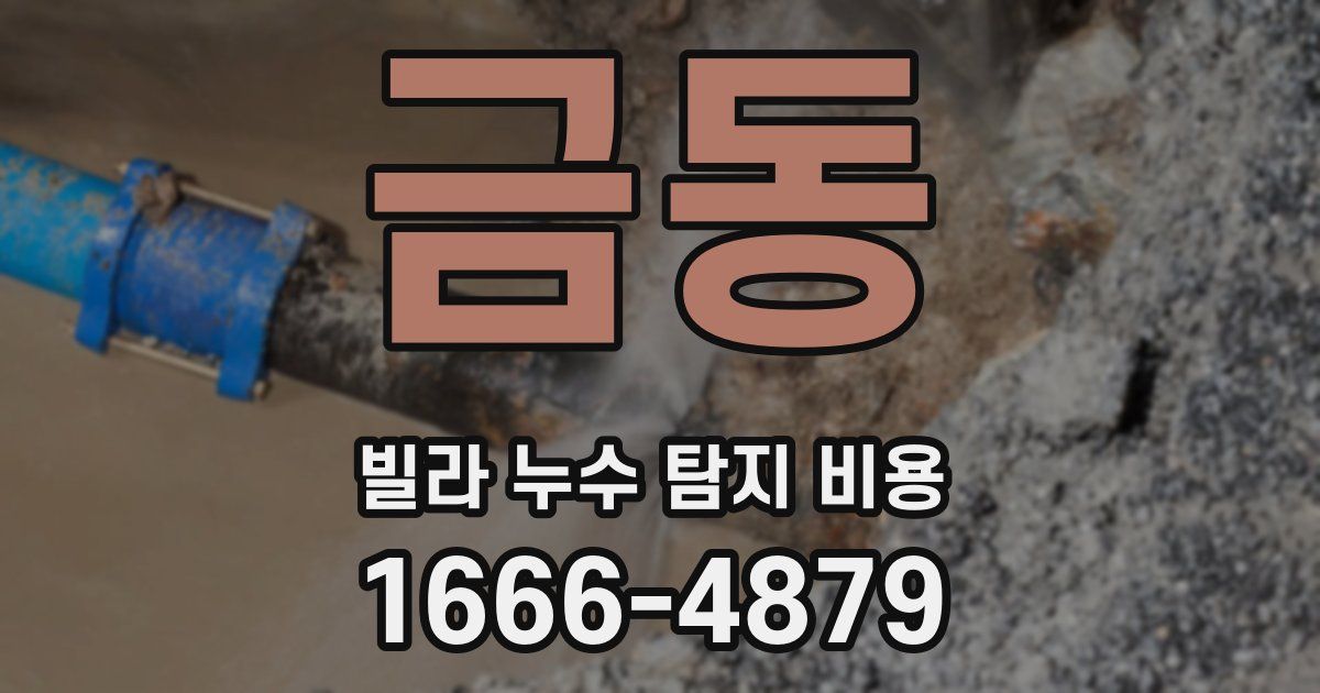 금동 빌라 누수 탐지 비용