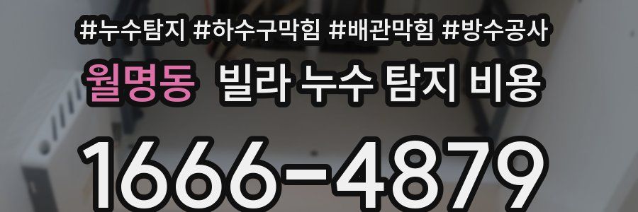 월명동 빌라 누수 탐지 비용