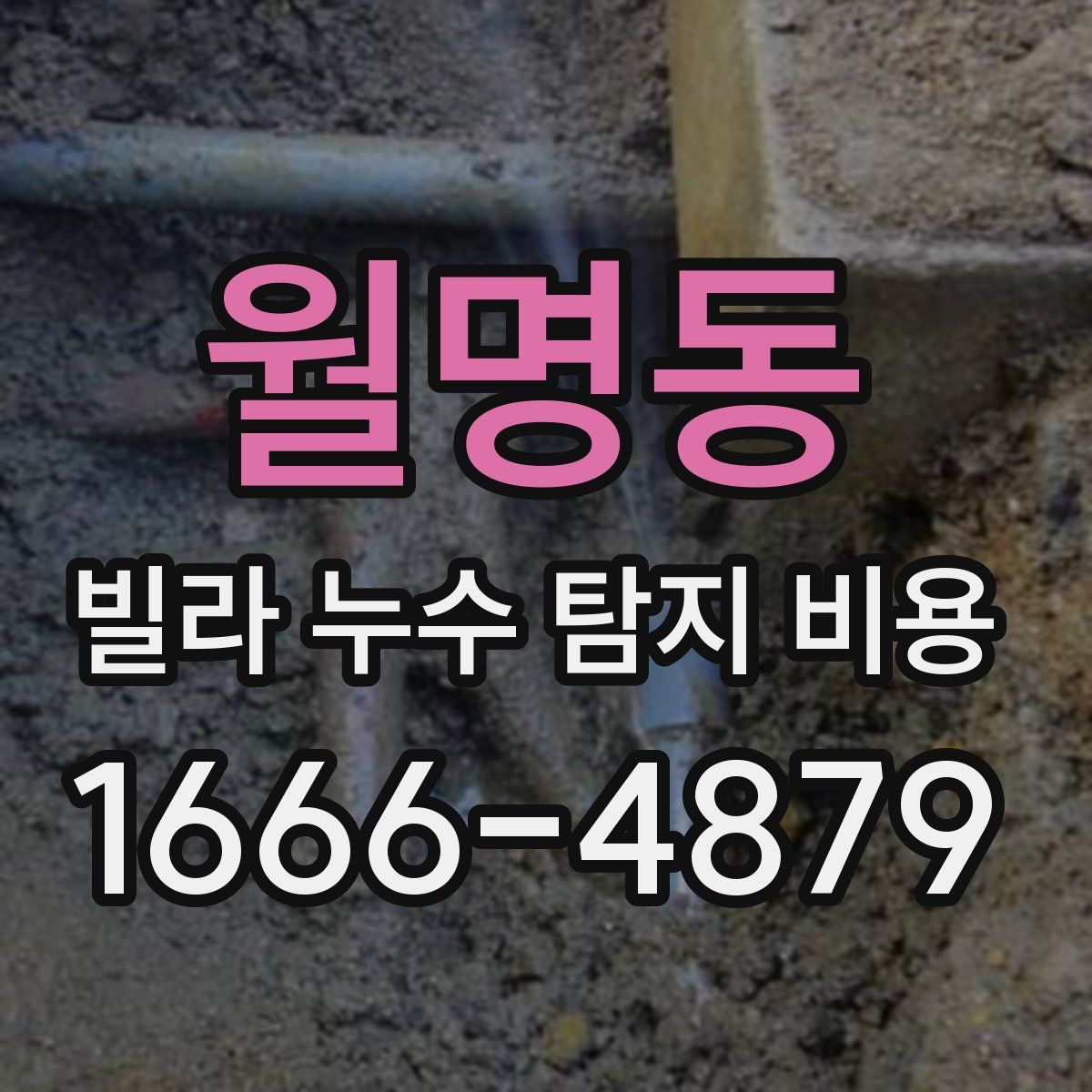 월명동 빌라 누수 탐지 비용