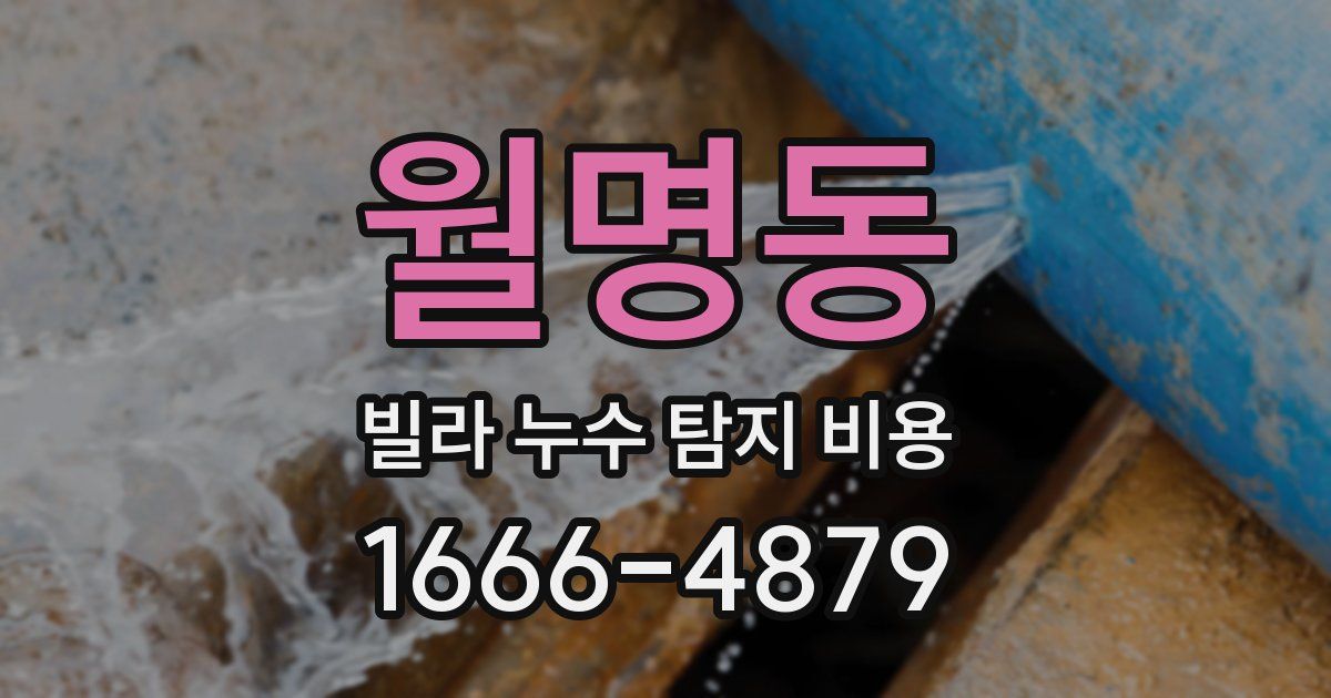 월명동 빌라 누수 탐지 비용