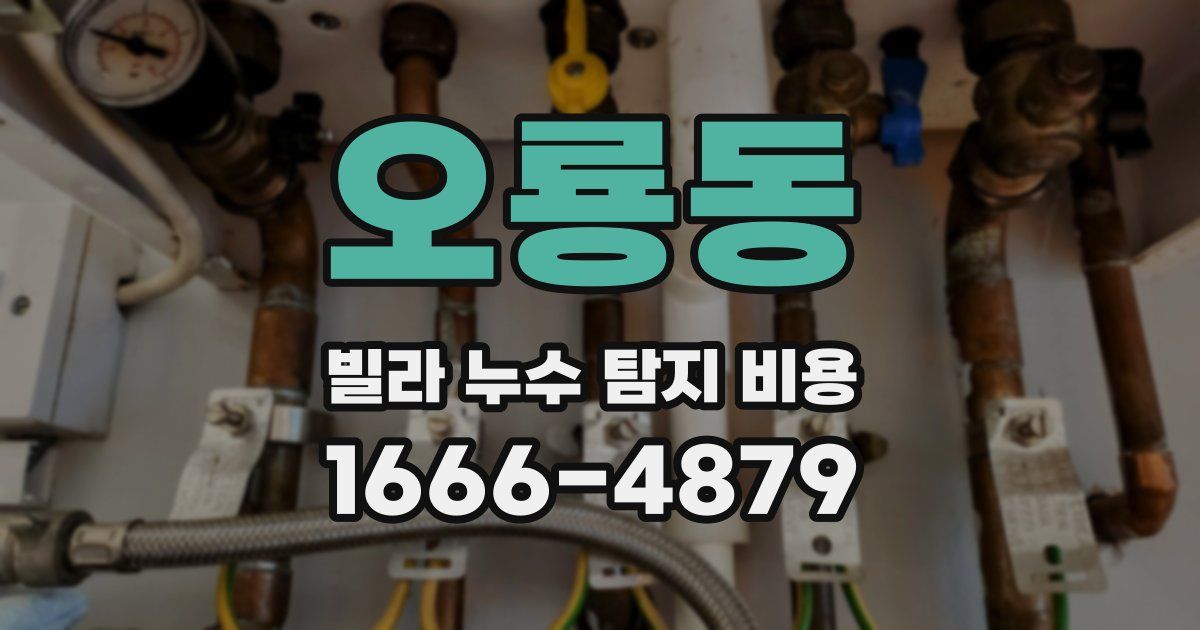 오룡동 빌라 누수 탐지 비용