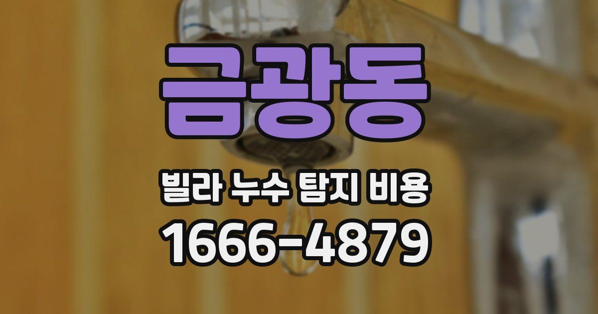 금광동 빌라 누수 탐지 비용