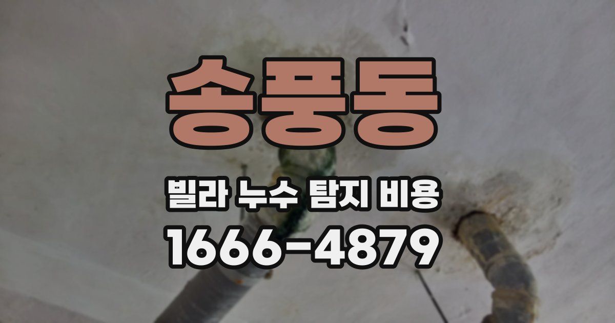 송풍동 빌라 누수 탐지 비용