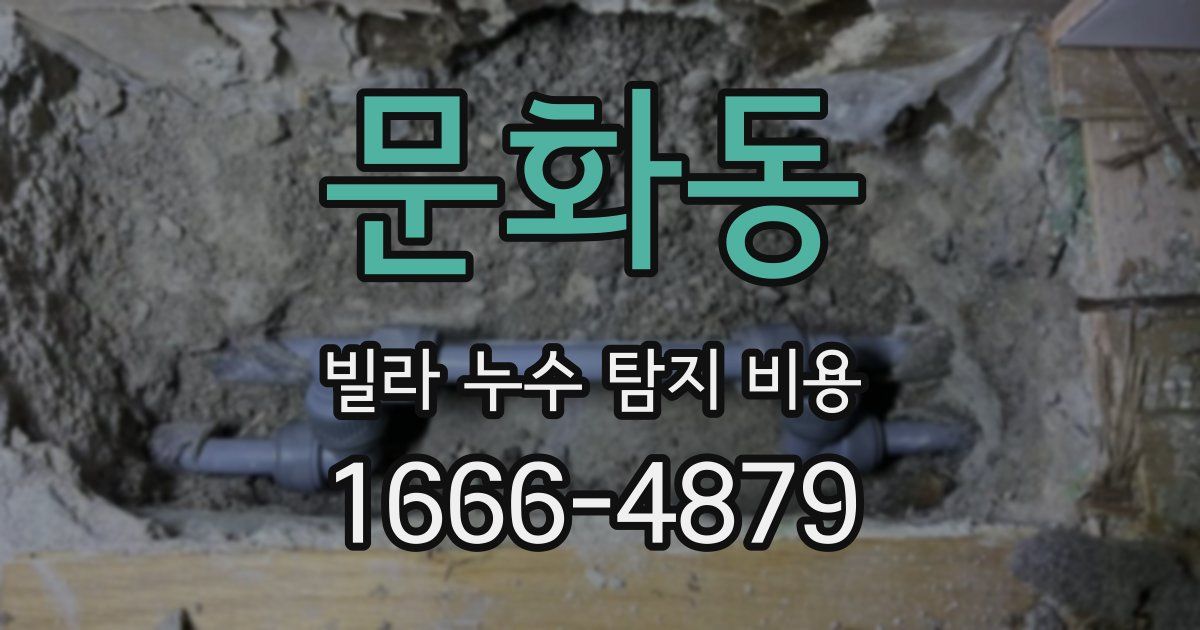 문화동 빌라 누수 탐지 비용