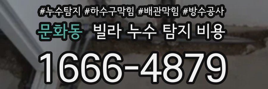 문화동 빌라 누수 탐지 비용