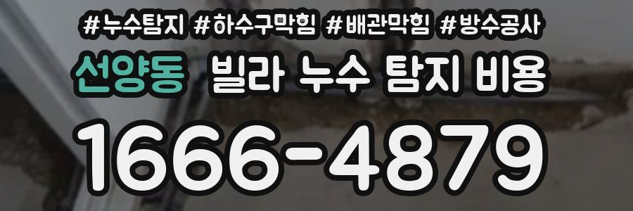 선양동 빌라 누수 탐지 비용