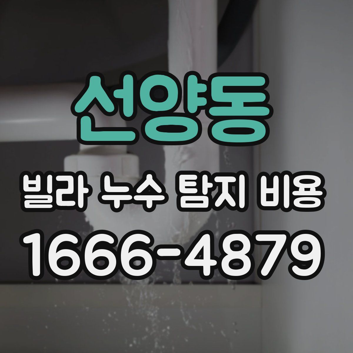 선양동 빌라 누수 탐지 비용