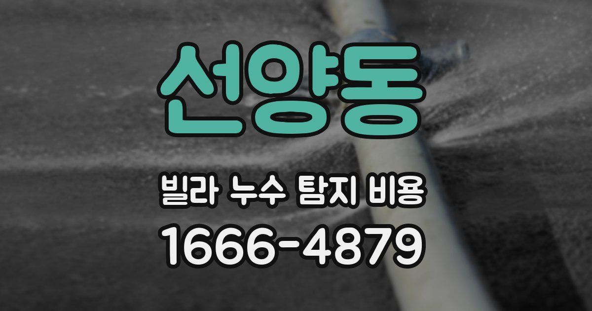 선양동 빌라 누수 탐지 비용