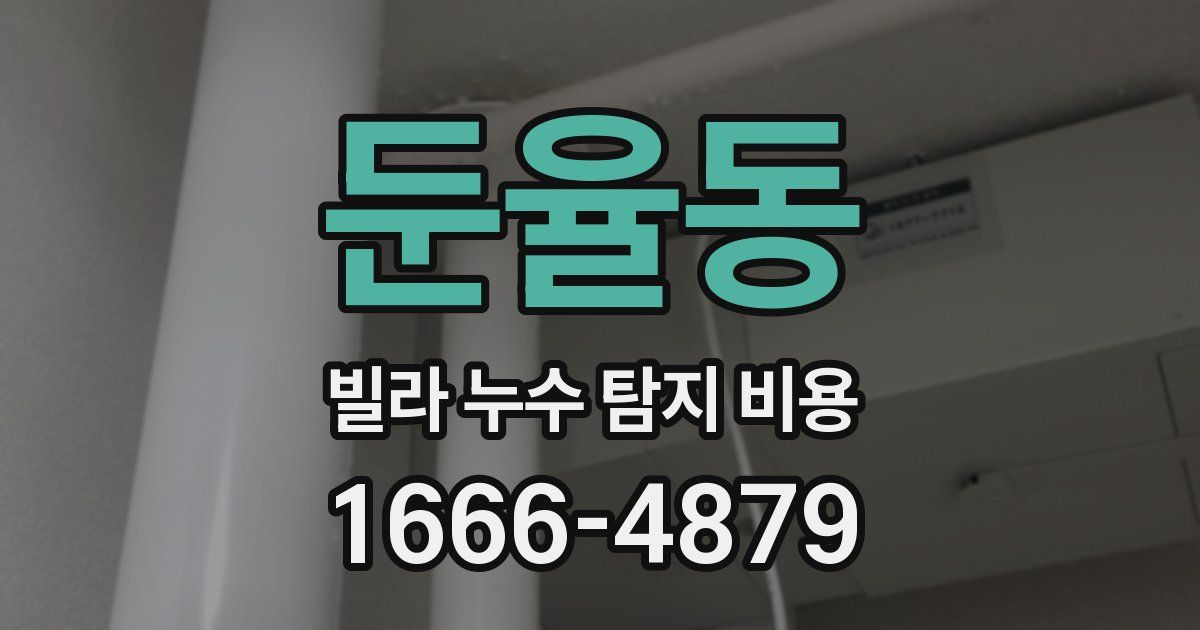 둔율동 빌라 누수 탐지 비용