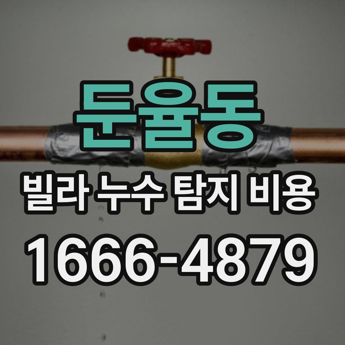 둔율동 빌라 누수 탐지 비용