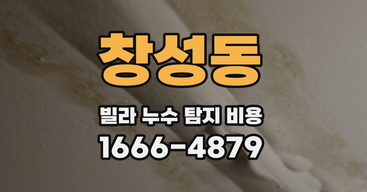 창성동 빌라 누수 탐지 비용