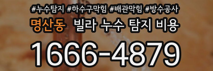명산동 빌라 누수 탐지 비용