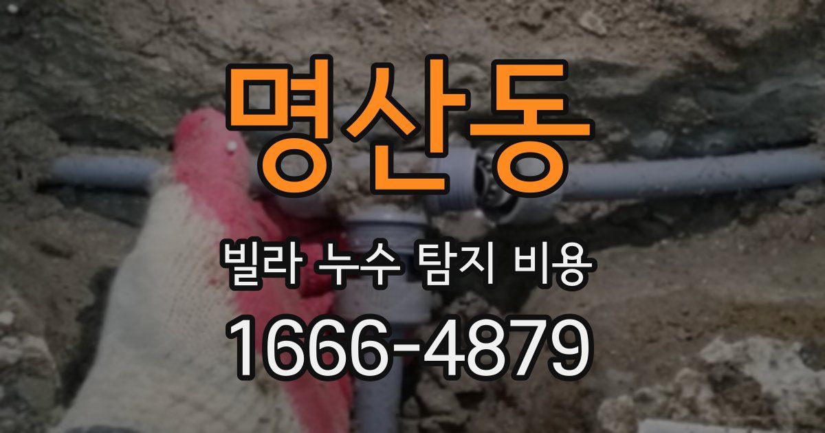 명산동 빌라 누수 탐지 비용