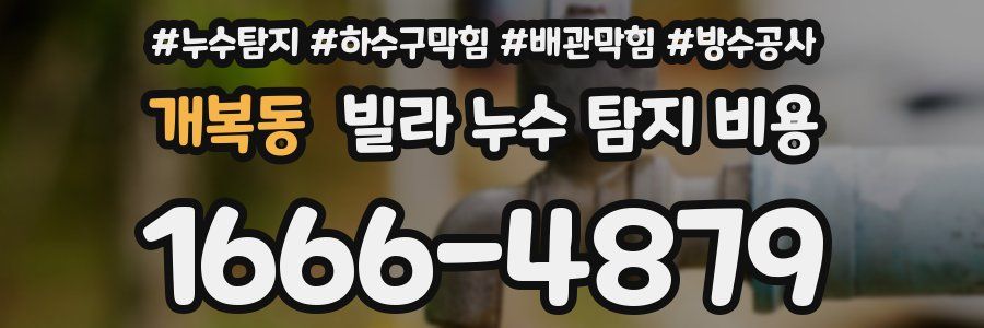 개복동 빌라 누수 탐지 비용