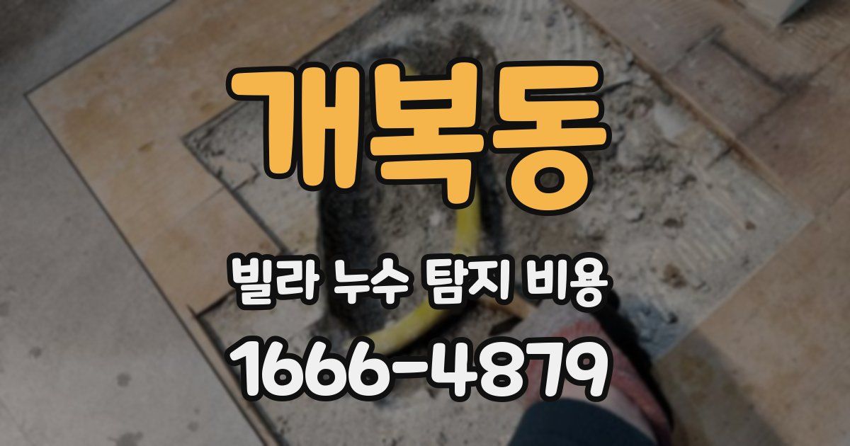 개복동 빌라 누수 탐지 비용