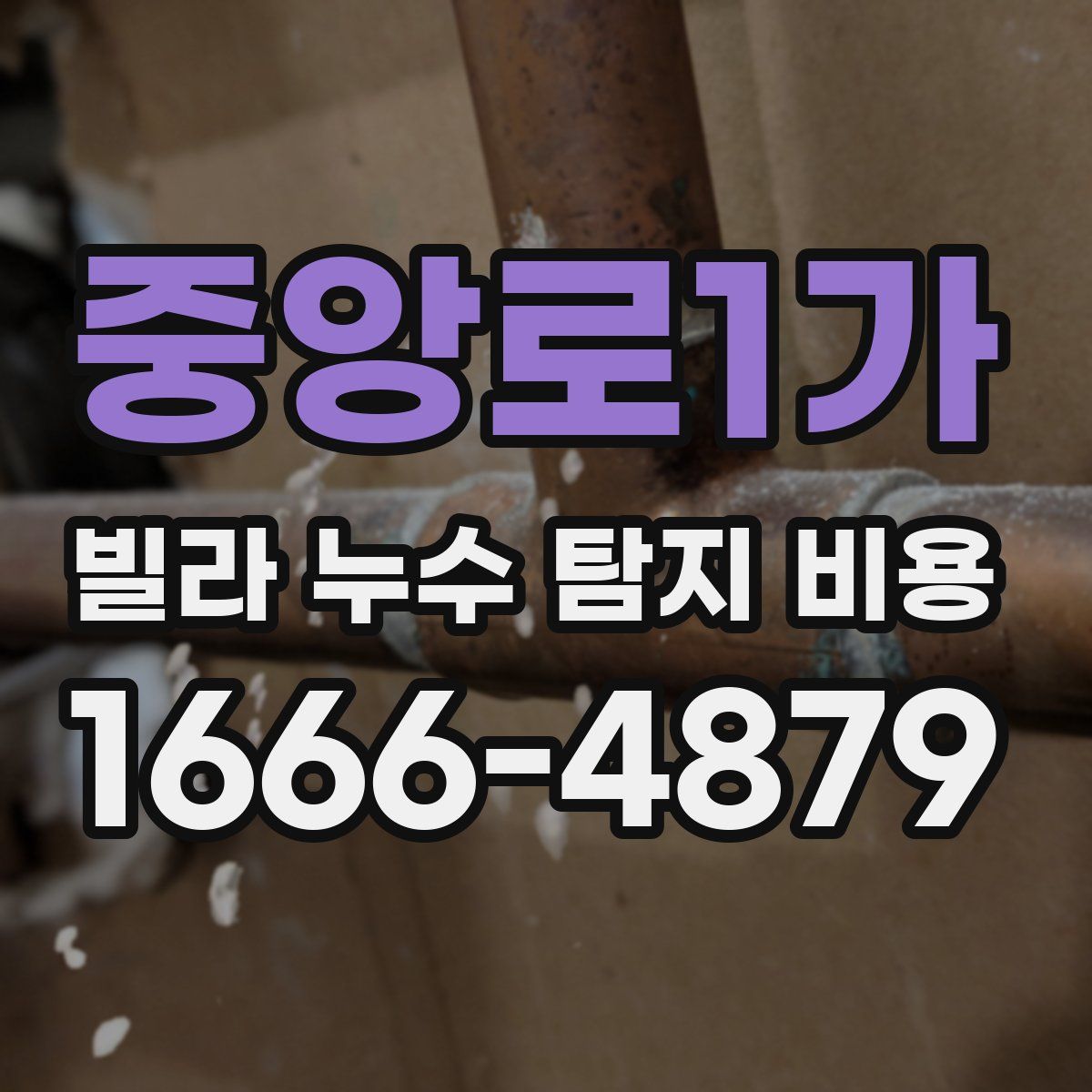 중앙로1가 빌라 누수 탐지 비용