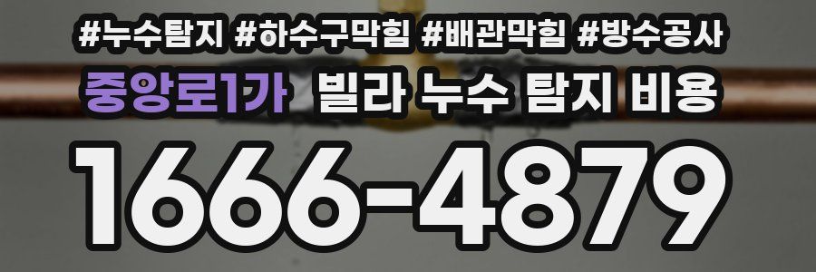 중앙로1가 빌라 누수 탐지 비용