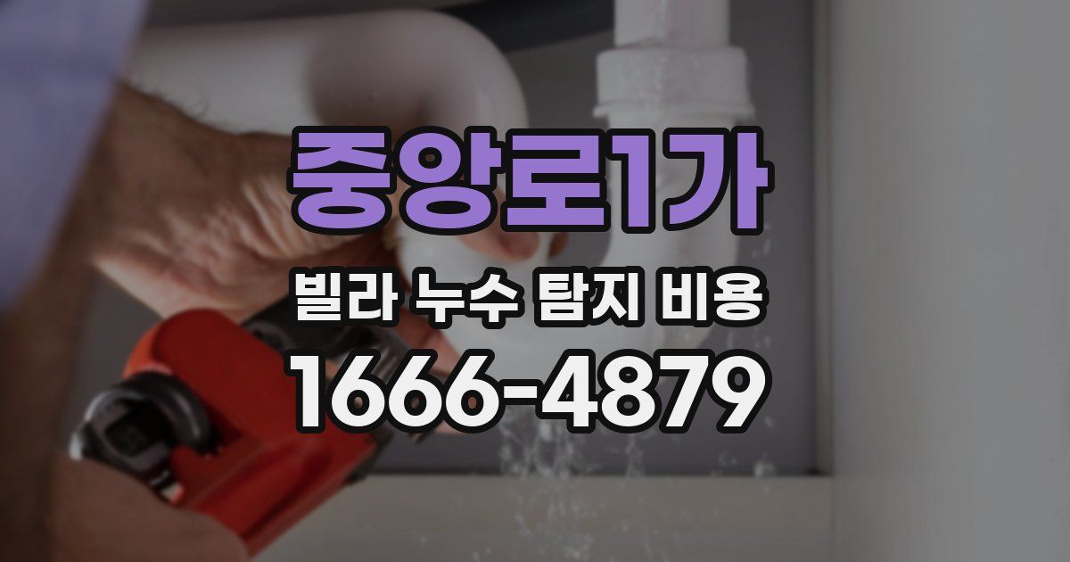 중앙로1가 빌라 누수 탐지 비용
