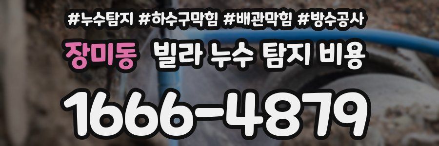장미동 빌라 누수 탐지 비용