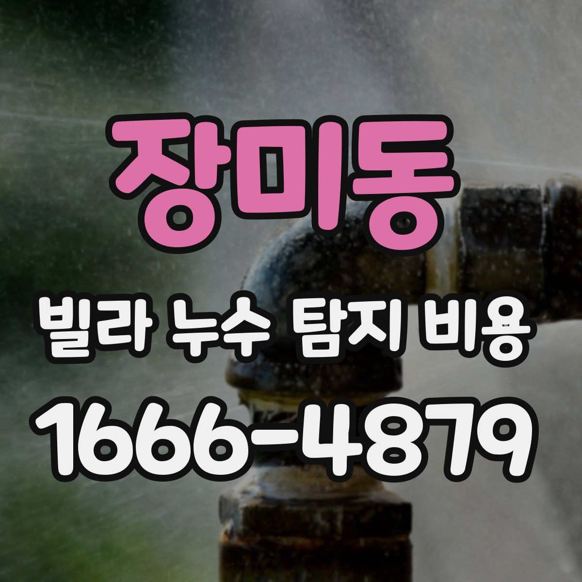 장미동 빌라 누수 탐지 비용