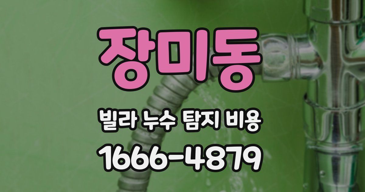 장미동 빌라 누수 탐지 비용