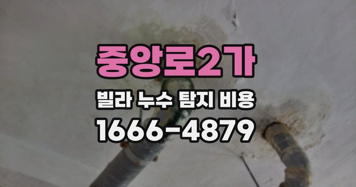 중앙로2가 빌라 누수 탐지 비용