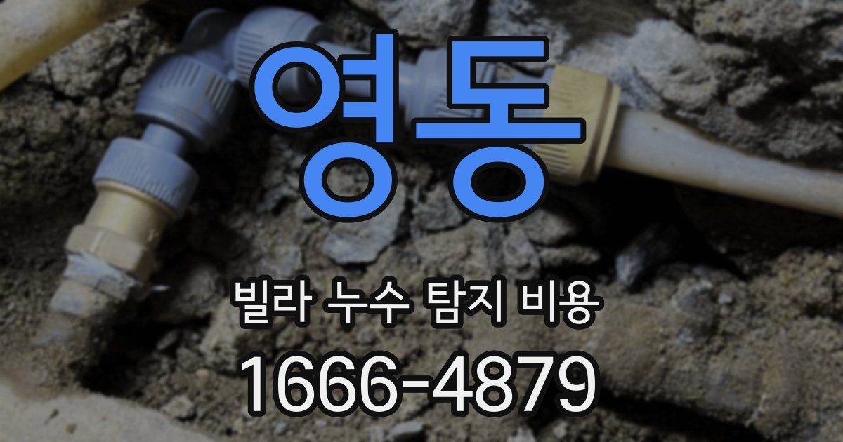 영동 빌라 누수 탐지 비용